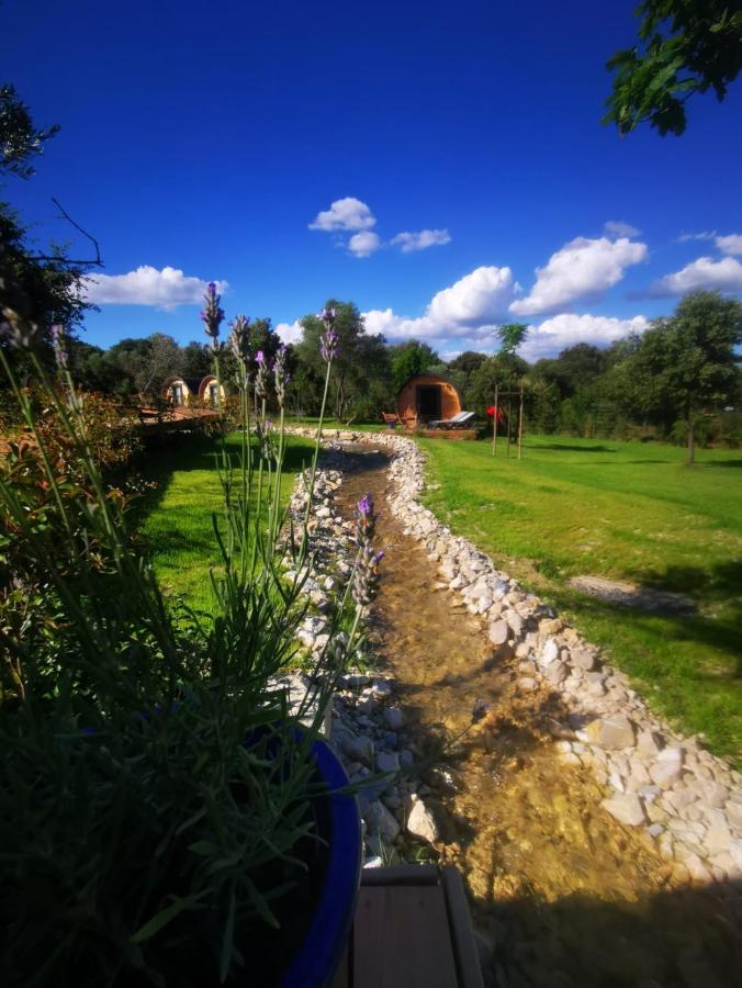 Camping Les Pres Du Roi Sommières Kültér fotó